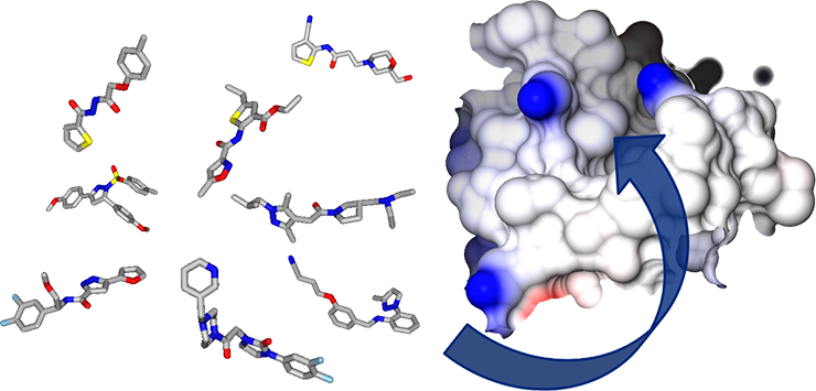 Computer Aided Drug Design CADD Global Events USA Europe 